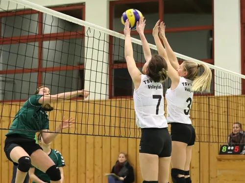 Volleyball